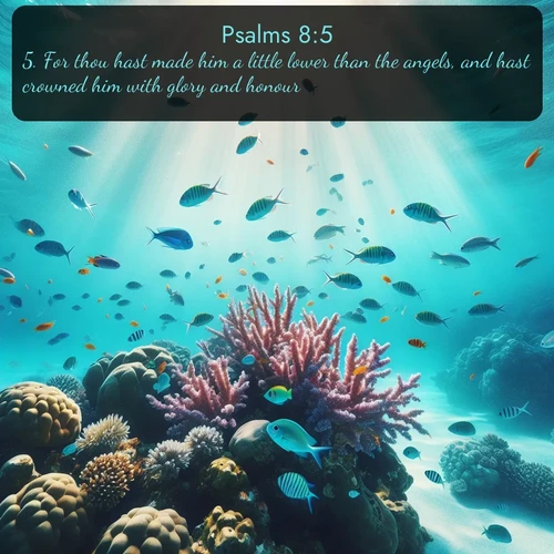 KJV Psalms  ; image nature: image with the bible verse :For thou hast made him a little lower than the angels, and hast crowned him with glory and honour. ; Admire Bible images evoking autumn, with warm colors of fallen leaves, harvested fields, and tranquil woods. These inspiring landscapes reflect the transition and beauty of God&#039;s creation. Download verses like KJV Psalms 8:5. Current verse is overlayed with the thematic nature scene : Tropical fish dart through coral reefs in crystal-clear waters. ; 8:5
