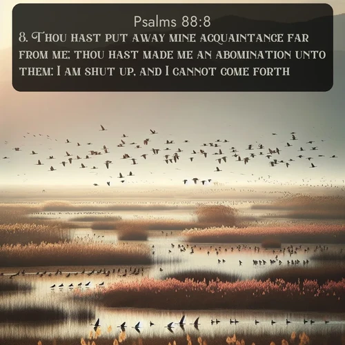 citation biblique : 8. Thou hast put away mine acquaintance far from me; thou hast made me an abomination unto them: I am shut up, and I cannot come forth.
 sur fond image nature