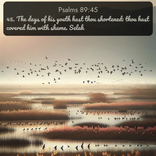 citation biblique : 45. The days of his youth hast thou shortened: thou hast covered him with shame. Selah.
 sur fond image nature