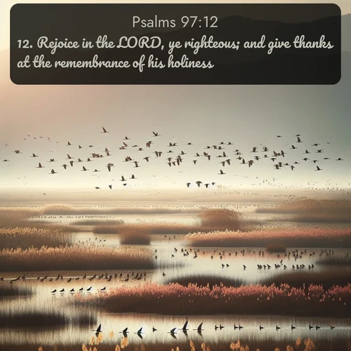 citation biblique : 12. Rejoice in the LORD, ye righteous; and give thanks at the remembrance of his holiness.
 sur fond image nature