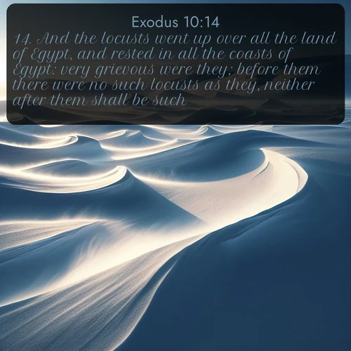 KJV Exodus 10:14 overlaying nature image scene: Winter winds sculpt snow into graceful dunes across the tundra.;14. And the locusts went up over all the land of Egypt, and rested in all the coasts of Egypt: very grievous were they; before them there were no such locusts as they, neither after them shall be such.