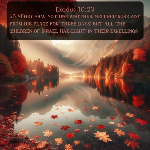 citation biblique : 23. They saw not one another, neither rose any from his place for three days: but all the children of Israel had light in their dwellings.
 sur fond image nature