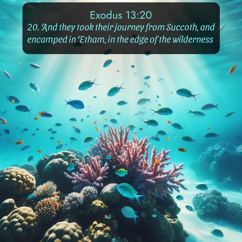 citation biblique : 20. And they took their journey from Succoth, and encamped in Etham, in the edge of the wilderness.
 sur fond image nature