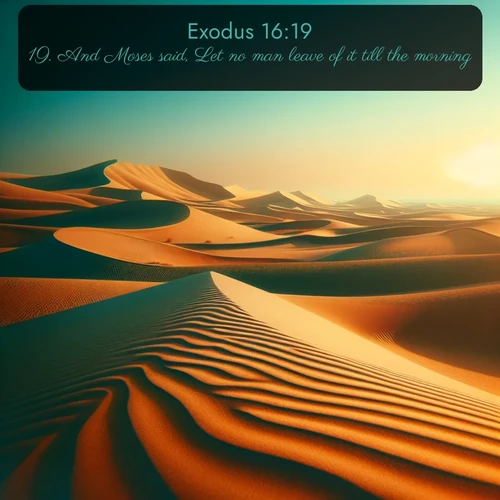 citation biblique : 19. And Moses said, Let no man leave of it till the morning.
 sur fond image nature