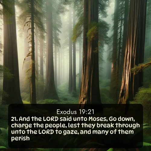 citation biblique : 21. And the LORD said unto Moses, Go down, charge the people, lest they break through unto the LORD to gaze, and many of them perish.
 sur fond image nature