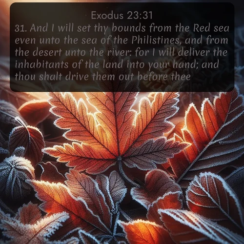 KJV Exodus  ; image nature: image with the bible verse :And I will set thy bounds from the Red sea even unto the sea of the Philistines, and from the desert unto the river: for I will deliver the inhabitants of the land into your hand; and thou shalt drive them out before thee. ; Discover Bible verse images capturing the warmth of summer, with beach landscapes, sunlit fields, and clear skies. These bright scenes reflect divine joy. Share verses like KJV Exodus 23:31. Current verse is overlayed with the thematic nature scene : Autumn frost rims fallen leaves with crystal. ; 23:31