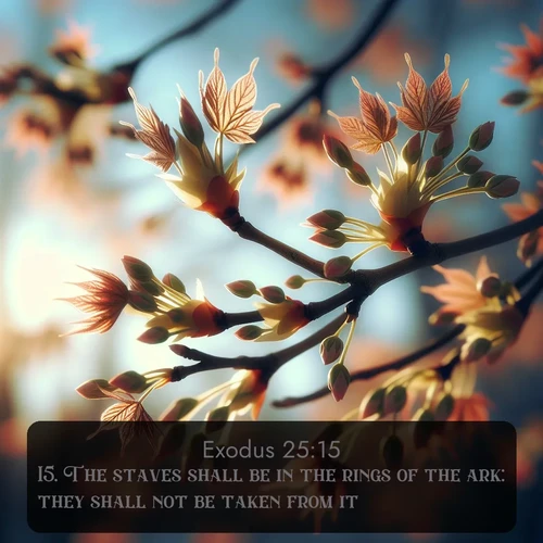 citation biblique : 15. The staves shall be in the rings of the ark: they shall not be taken from it.
 sur fond image nature