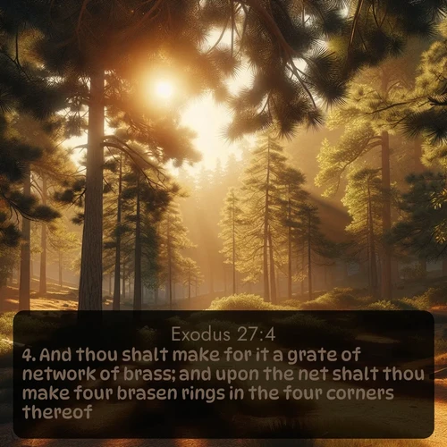 citation biblique : 4. And thou shalt make for it a grate of network of brass; and upon the net shalt thou make four brasen rings in the four corners thereof.
 sur fond image nature