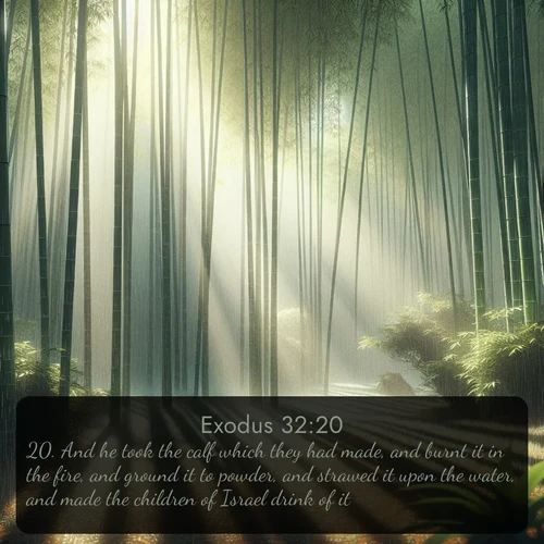 KJV Exodus  ; image nature: image with the bible verse :And he took the calf which they had made, and burnt it in the fire, and ground it to powder, and strawed it upon the water, and made the children of Israel drink of it. ; Discover inspiring Bible verse images featuring natural wonders like lush forests, sunny horizons, and cascading waterfalls. Perfect for wallpapers or spiritual encouragement. Download verses like KJV Exodus 32:20. Current verse is overlayed with the thematic nature scene : Bamboo forests cast striped shadows while a gentle rain patters on broad leaves. ; 32:20