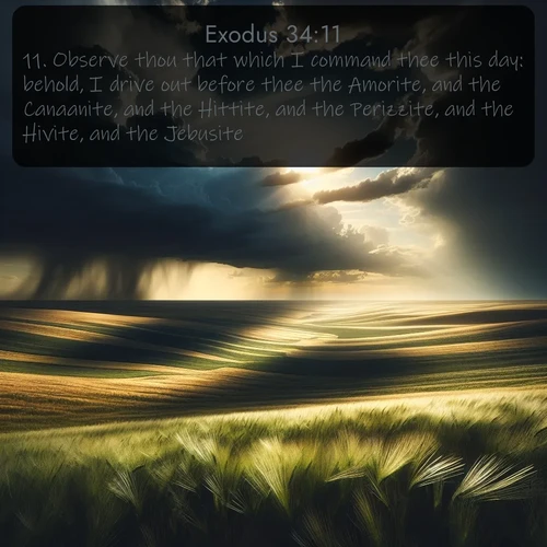 citation biblique : 11. Observe thou that which I command thee this day: behold, I drive out before thee the Amorite, and the Canaanite, and the Hittite, and the Perizzite, and the Hivite, and the Jebusite.
 sur fond image nature
