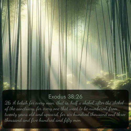 citation biblique : 26. A bekah for every man, that is, half a shekel, after the shekel of the sanctuary, for every one that went to be numbered, from twenty years old and upward, for six hundred thousand and three thousand and five hundred and fifty men.
 sur fond image nature