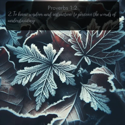 citation biblique : 2. To know wisdom and instruction; to perceive the words of understanding;
 sur fond image nature