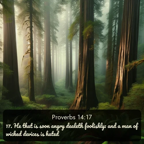 citation biblique : 17. He that is soon angry dealeth foolishly: and a man of wicked devices is hated.
 sur fond image nature