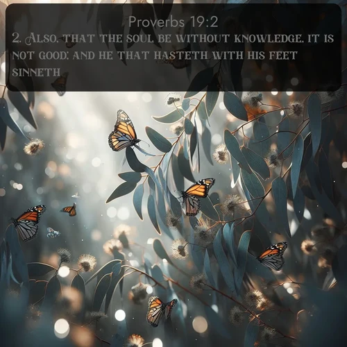 citation biblique : 2. Also, that the soul be without knowledge, it is not good; and he that hasteth with his feet sinneth.
 sur fond image nature