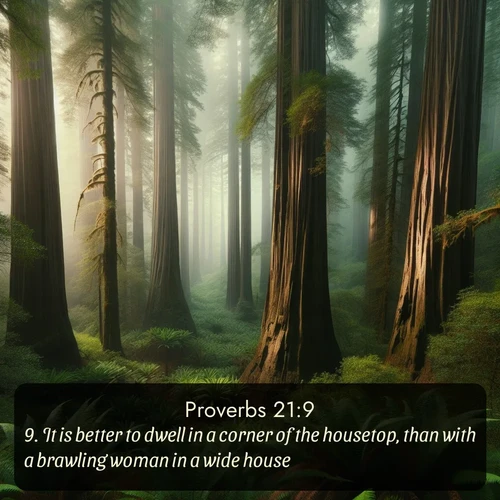 citation biblique : 9. It is better to dwell in a corner of the housetop, than with a brawling woman in a wide house.
 sur fond image nature