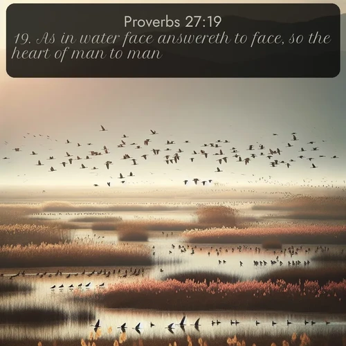 citation biblique : 19. As in water face answereth to face, so the heart of man to man.
 sur fond image nature