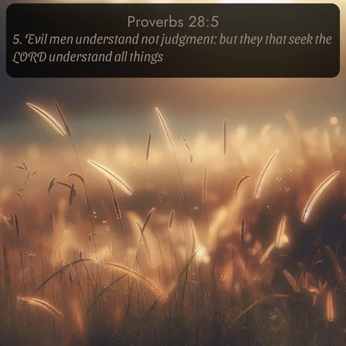 citation biblique : 5. Evil men understand not judgment: but they that seek the LORD understand all things.
 sur fond image nature