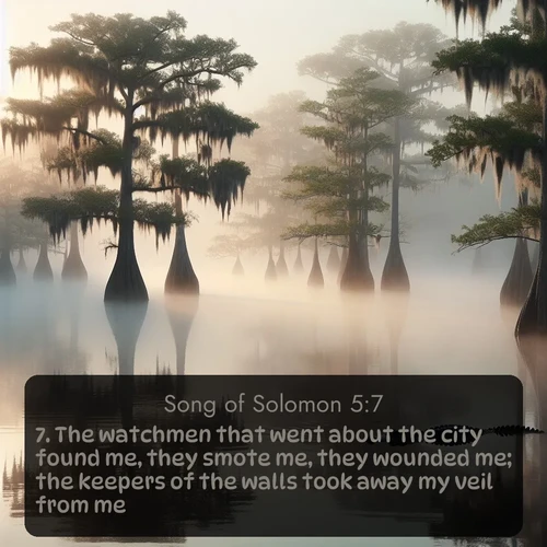 citation biblique : 7. The watchmen that went about the city found me, they smote me, they wounded me; the keepers of the walls took away my veil from me.
 sur fond image nature
