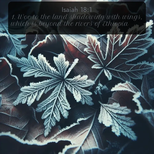 citation biblique : 1. Woe to the land shadowing with wings, which is beyond the rivers of Ethiopia:
 sur fond image nature