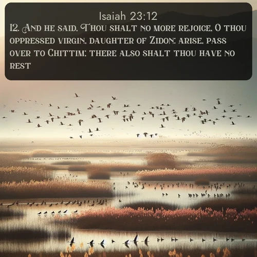 citation biblique : 12. And he said, Thou shalt no more rejoice, O thou oppressed virgin, daughter of Zidon: arise, pass over to Chittim; there also shalt thou have no rest.
 sur fond image nature
