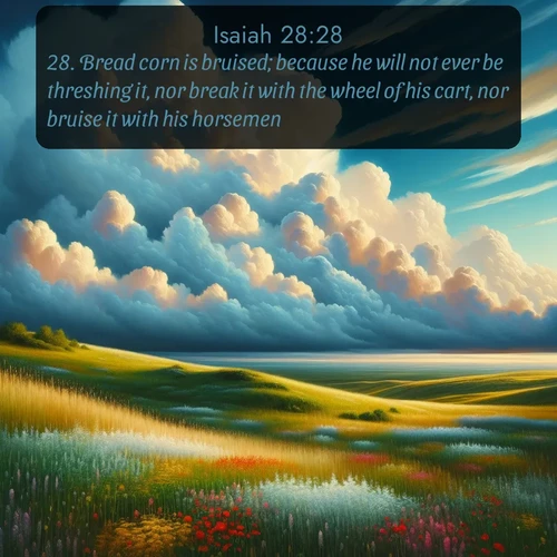 citation biblique : 28. Bread corn is bruised; because he will not ever be threshing it, nor break it with the wheel of his cart, nor bruise it with his horsemen.
 sur fond image nature