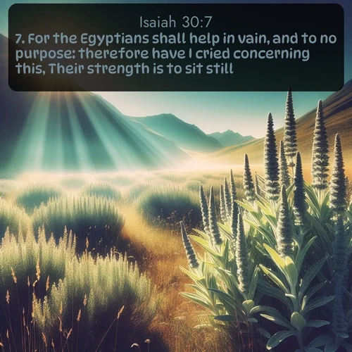 citation biblique : 7. For the Egyptians shall help in vain, and to no purpose: therefore have I cried concerning this, Their strength is to sit still.
 sur fond image nature