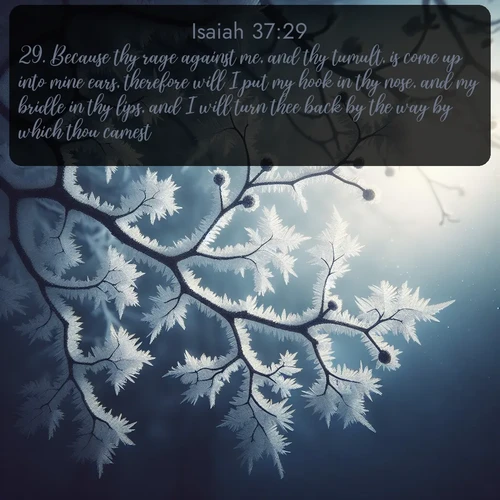 citation biblique : 29. Because thy rage against me, and thy tumult, is come up into mine ears, therefore will I put my hook in thy nose, and my bridle in thy lips, and I will turn thee back by the way by which thou camest.
 sur fond image nature