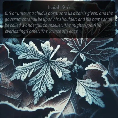 citation biblique : 6. For unto us a child is born, unto us a son is given: and the government shall be upon his shoulder: and his name shall be called Wonderful, Counseller, The mighty God, The everlasting Father, The Prince of Peace.
 sur fond image nature