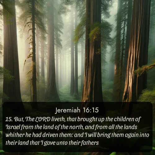 citation biblique : 15. But, The LORD liveth, that brought up the children of Israel from the land of the north, and from all the lands whither he had driven them: and I will bring them again into their land that I gave unto their fathers.
 sur fond image nature