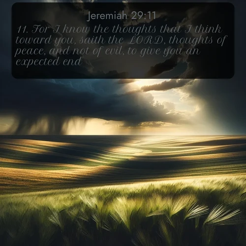 citation biblique : 11. For I know the thoughts that I think toward you, saith the LORD, thoughts of peace, and not of evil, to give you an expected end.
 sur fond image nature