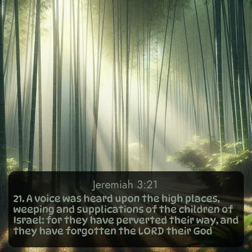 citation biblique : 21. A voice was heard upon the high places, weeping and supplications of the children of Israel: for they have perverted their way, and they have forgotten the LORD their God.
 sur fond image nature