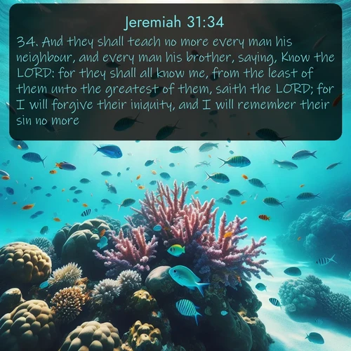citation biblique : 34. And they shall teach no more every man his neighbour, and every man his brother, saying, Know the LORD: for they shall all know me, from the least of them unto the greatest of them, saith the LORD; for I will forgive their iniquity, and I will remember their sin no more.
 sur fond image nature
