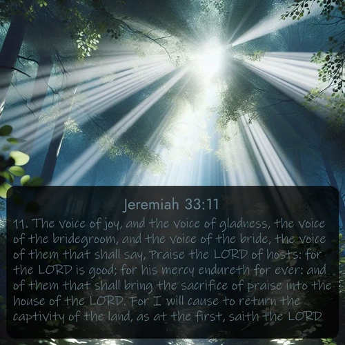 KJV Jeremiah 33:11 overlaying nature image scene: Summer light filters through forest canopy like stained glass.;11. The voice of joy, and the voice of gladness, the voice of the bridegroom, and the voice of the bride, the voice of them that shall say, Praise the LORD of hosts: for the LORD is good; for his mercy endureth for ever: and of them that shall bring the sacrifice of praise into the house of the LORD. For I will cause to return the captivity of the land, as at the first, saith the LORD.