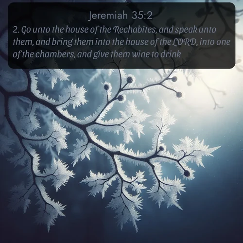 citation biblique : 2. Go unto the house of the Rechabites, and speak unto them, and bring them into the house of the LORD, into one of the chambers, and give them wine to drink.
 sur fond image nature