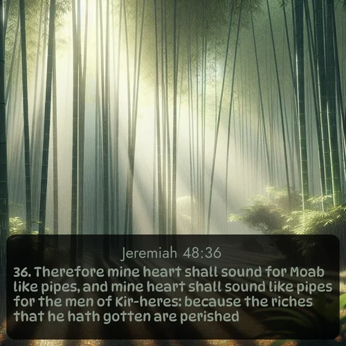 KJV Jeremiah  ; image nature: image with the bible verse :Therefore mine heart shall sound for Moab like pipes, and mine heart shall sound like pipes for the men of Kir-heres: because the riches that he hath gotten are perished. ; Admire our gallery of Bible verse images paired with serene nature photography, featuring starlit skies, golden sands, and blooming wildflowers. Download and share verses like KJV Jeremiah 48:36. Current verse is overlayed with the thematic nature scene : Bamboo forests cast striped shadows while a gentle rain patters on broad leaves. ; 48:36