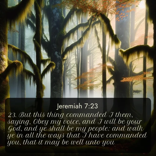 citation biblique : 23. But this thing commanded I them, saying, Obey my voice, and I will be your God, and ye shall be my people: and walk ye in all the ways that I have commanded you, that it may be well unto you.
 sur fond image nature