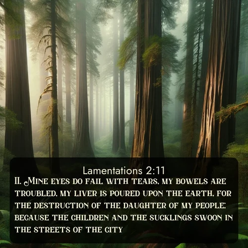 citation biblique : 11. Mine eyes do fail with tears, my bowels are troubled, my liver is poured upon the earth, for the destruction of the daughter of my people; because the children and the sucklings swoon in the streets of the city.
 sur fond image nature