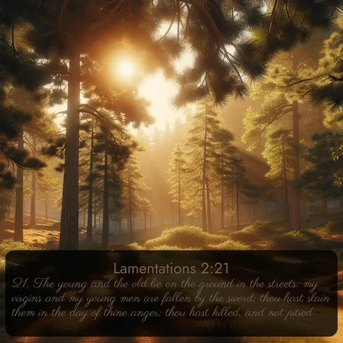 citation biblique : 21. The young and the old lie on the ground in the streets: my virgins and my young men are fallen by the sword; thou hast slain them in the day of thine anger; thou hast killed, and not pitied.
 sur fond image nature