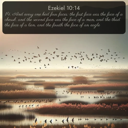 citation biblique : 14. And every one had four faces: the first face was the face of a cherub, and the second face was the face of a man, and the third the face of a lion, and the fourth the face of an eagle.
 sur fond image nature