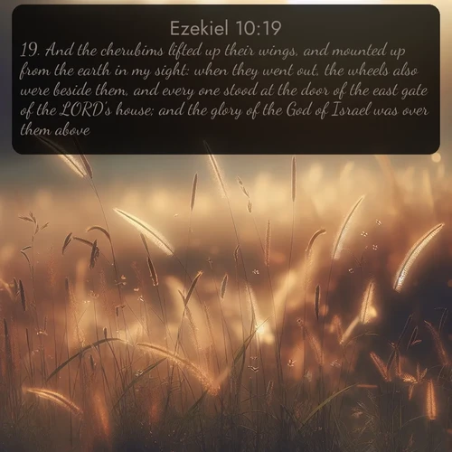 citation biblique : 19. And the cherubims lifted up their wings, and mounted up from the earth in my sight: when they went out, the wheels also were beside them, and every one stood at the door of the east gate of the LORD&#039;s house; and the glory of the God of Israel was over them above.
 sur fond image nature