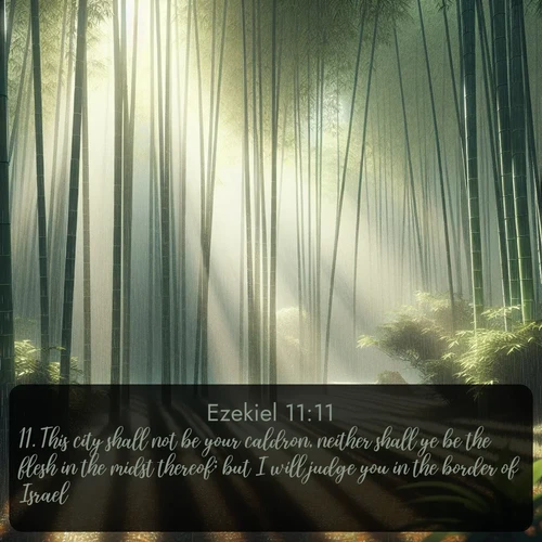 citation biblique : 11. This city shall not be your caldron, neither shall ye be the flesh in the midst thereof; but I will judge you in the border of Israel:
 sur fond image nature