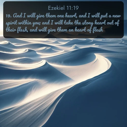 citation biblique : 19. And I will give them one heart, and I will put a new spirit within you; and I will take the stony heart out of their flesh, and will give them an heart of flesh:
 sur fond image nature