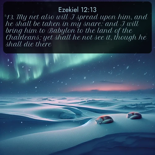citation biblique : 13. My net also will I spread upon him, and he shall be taken in my snare: and I will bring him to Babylon to the land of the Chaldeans; yet shall he not see it, though he shall die there.
 sur fond image nature