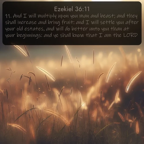 citation biblique : 11. And I will multiply upon you man and beast; and they shall increase and bring fruit: and I will settle you after your old estates, and will do better unto you than at your beginnings: and ye shall know that I am the LORD.
 sur fond image nature