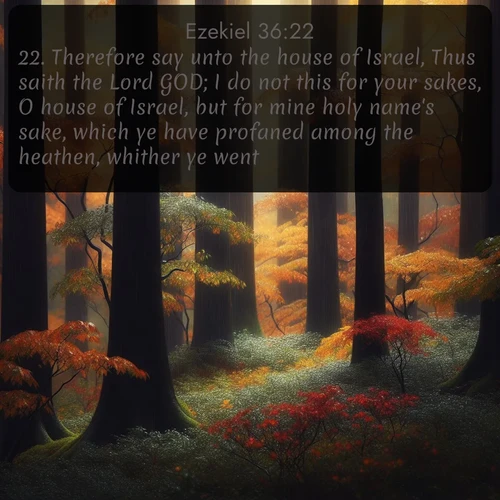 citation biblique : 22. Therefore say unto the house of Israel, Thus saith the Lord GOD; I do not this for your sakes, O house of Israel, but for mine holy name&#039;s sake, which ye have profaned among the heathen, whither ye went.
 sur fond image nature