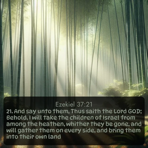 KJV Ezekiel  ; image nature: image with the bible verse :And say unto them, Thus saith the Lord GOD; Behold, I will take the children of Israel from among the heathen, whither they be gone, and will gather them on every side, and bring them into their own land: ; Browse an inspiring gallery of Bible verse images with nature photos, such as blooming gardens, golden deserts, and shaded forests. The chosen images capture the peaceful and joyful essence of God&#039;s creation, with vibrant colors and harmonious fonts. Share verses like KJV Ezekiel 37:21. Current verse is overlayed with the thematic nature scene : Bamboo forests cast striped shadows while a gentle rain patters on broad leaves. ; 37:21