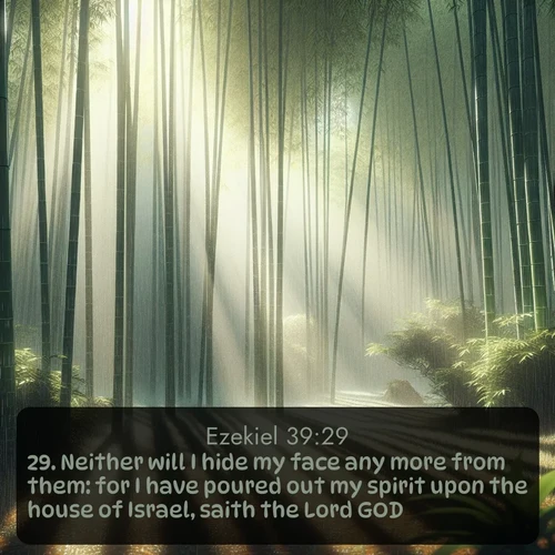 citation biblique : 29. Neither will I hide my face any more from them: for I have poured out my spirit upon the house of Israel, saith the Lord GOD.
 sur fond image nature