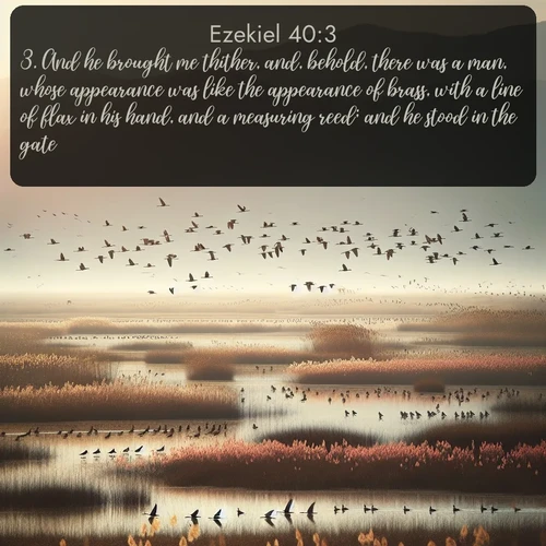 citation biblique : 3. And he brought me thither, and, behold, there was a man, whose appearance was like the appearance of brass, with a line of flax in his hand, and a measuring reed; and he stood in the gate.
 sur fond image nature