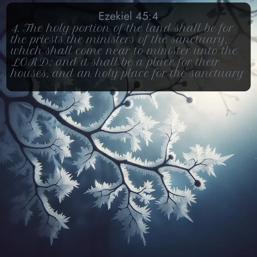 KJV Ezekiel  ; image nature: image with the bible verse :The holy portion of the land shall be for the priests the ministers of the sanctuary, which shall come near to minister unto the LORD: and it shall be a place for their houses, and an holy place for the sanctuary. ; Admire stunning Bible verse images paired with photos of peaceful landscapes, such as foggy mornings, serene rivers, and blooming gardens. Download these free images and share verses like KJV Ezekiel 45:4. Current verse is overlayed with the thematic nature scene : Winter frost coats bare branches in delicate crystal. ; 45:4