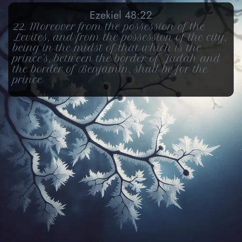 KJV Ezekiel 48:22 overlaying nature image scene: Winter frost coats bare branches in delicate crystal.;22. Moreover from the possession of the Levites, and from the possession of the city, being in the midst of that which is the prince's, between the border of Judah and the border of Benjamin, shall be for the prince.